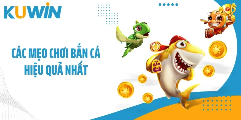 Các mẹo chơi bắn cá hiệu quả nhất