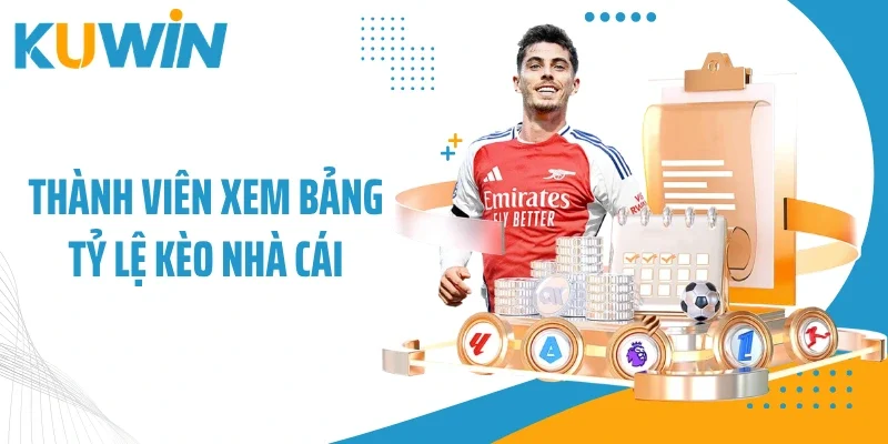 Thành viên xem bảng tỷ lệ kèo nhà cái